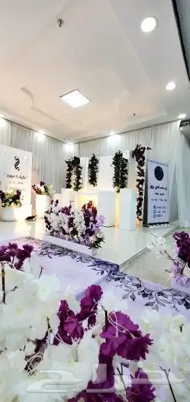كوش واستقبالات جديد 23