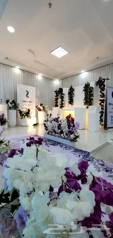 كوش واستقبالات جديد 21