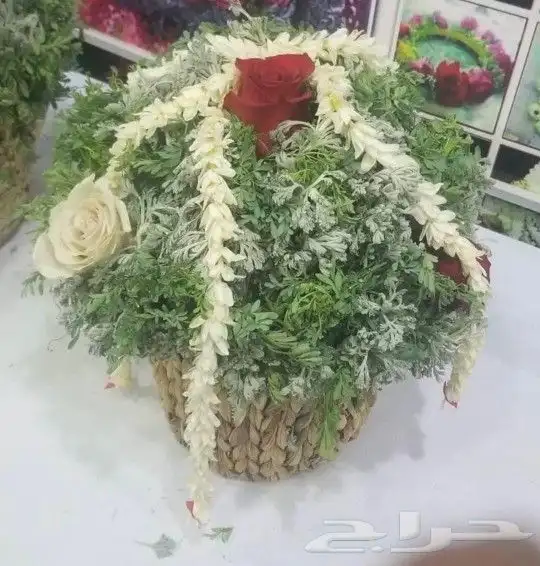 محل_فل_الفيصليه_الرياض 26