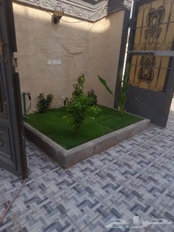 كل مايخص الزراعه والتنسيق توريد وبيع وزراعه اشجار وثيل وزهور 17