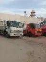 تأجير دينات. شبك. طويل. وقصير. جميع. المقاسات 4