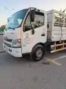 تأجير دينات. شبك. طويل. وقصير. جميع. المقاسات 5
