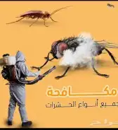 مكافحة حشرات بالخرج 0