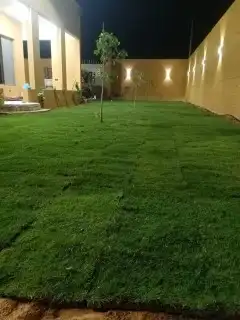 ثيل طبيعي سي 2000 فرنسي 0