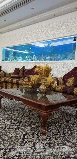 تصميم و تنفيذ أحواض أسماك الزينة .. حوض سمك 3