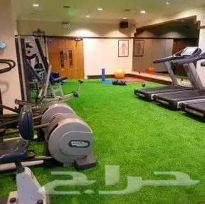 ثيل صناعي باقل سعر 5