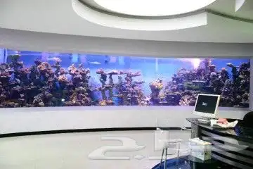 تصميم و تنفيذ أحواض أسماك الزينة .. حوض سمك 6