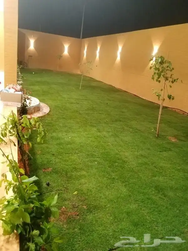 ثيل طبيعي سي 2000 فرنسي 1