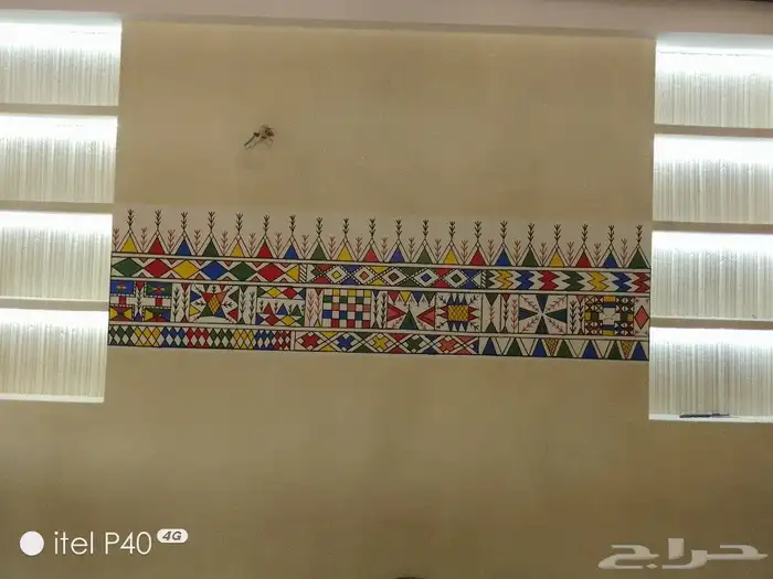 ابو عبدالله للقط العسيري 4