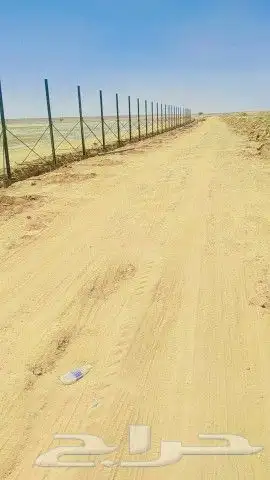 ابوناصرلتركيب وأعمال الشبوك الزراعيه والسياجات الامنيه 0