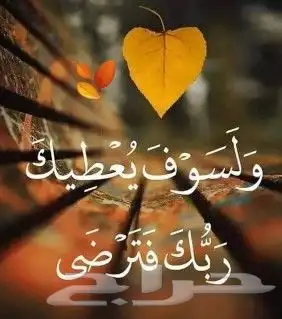 تليس بلاط بنيان تكثير مقاولات عامه معلم مصري 0