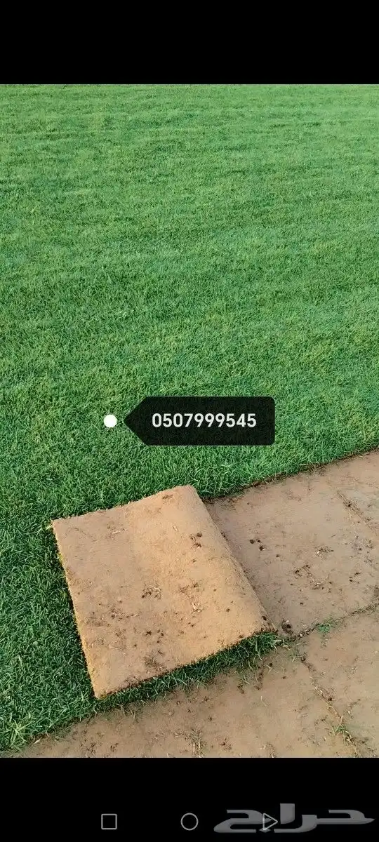 ثيل إنتاج الخرج كثافه عاليه وصافي مضمون من الخلط توريد 0