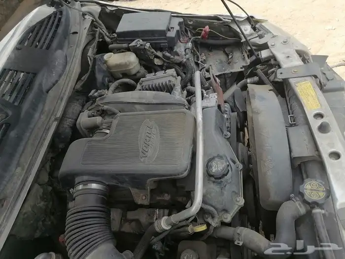 أنفوي 2002 4