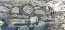 بناء حجر بوكلين شيول تكحيل تلجيم ربراب إنجاز في العمل جدران 11