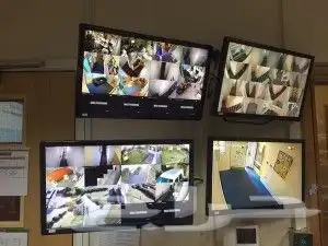 تركيب كاميرات مراقبة وسنترال وانذار حريق 3