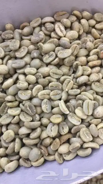 قهوة هرري فاخر بن حبشي مستورد رقم1 0