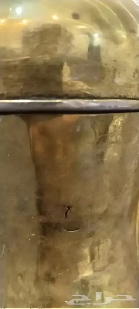 دله مبهره عمل ابراهيم سليمه 4