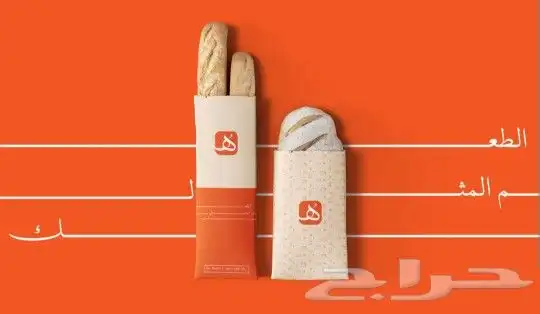 تصميم شعار كامل مع هوية بصريه 0