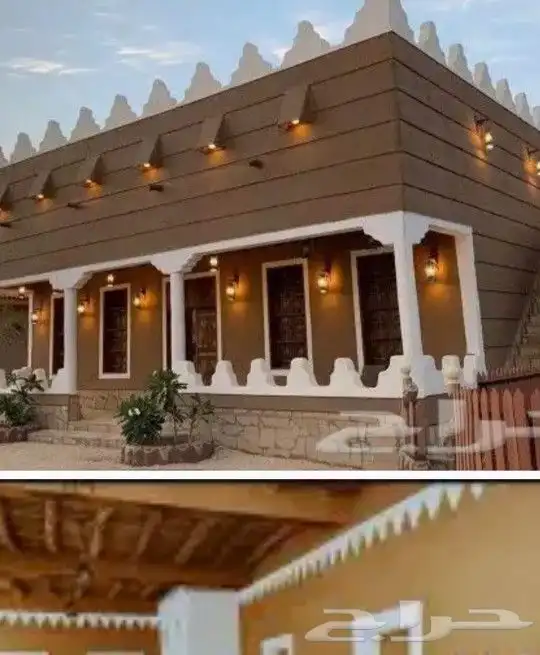 توريدنخيل وأشجار زيتون 5