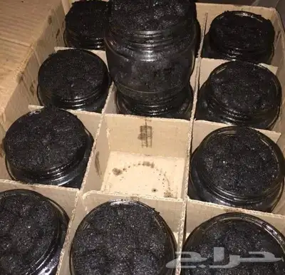 معمول دوسري عرائسي 1