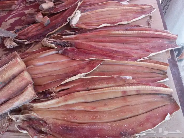 لخم يصم الرأس صم على شروطه 1