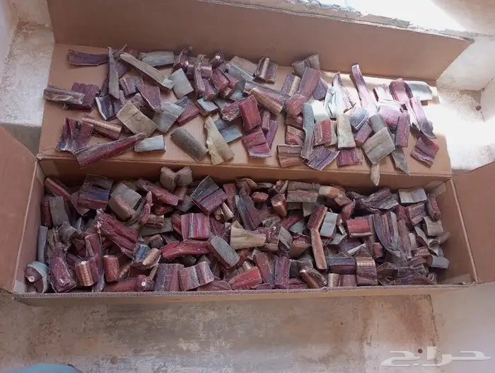 لخم يصم الرأس صم على شروطه 4