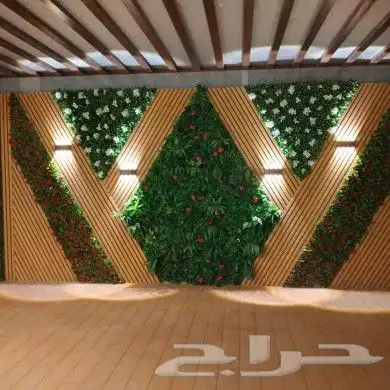 عشب جدارى عشب أرضى بسعر الجملة 7