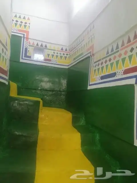 رسام قط العسيري 7