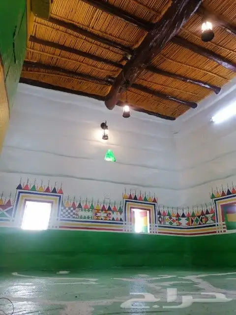 رسام قط العسيري 4