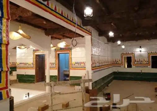 رسام قط العسيري 1