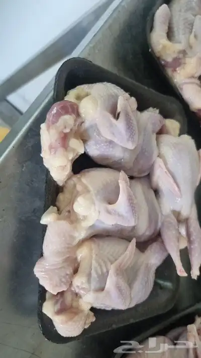 سمان ملكي مغلق شحم فاخر من الاخر 9