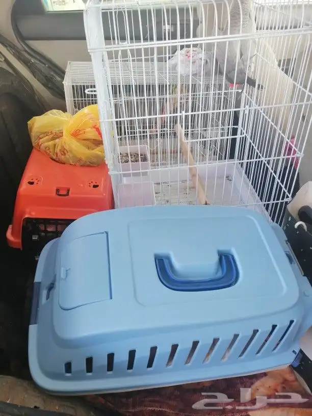 موصل طيور حيونات اليفه امنات 9