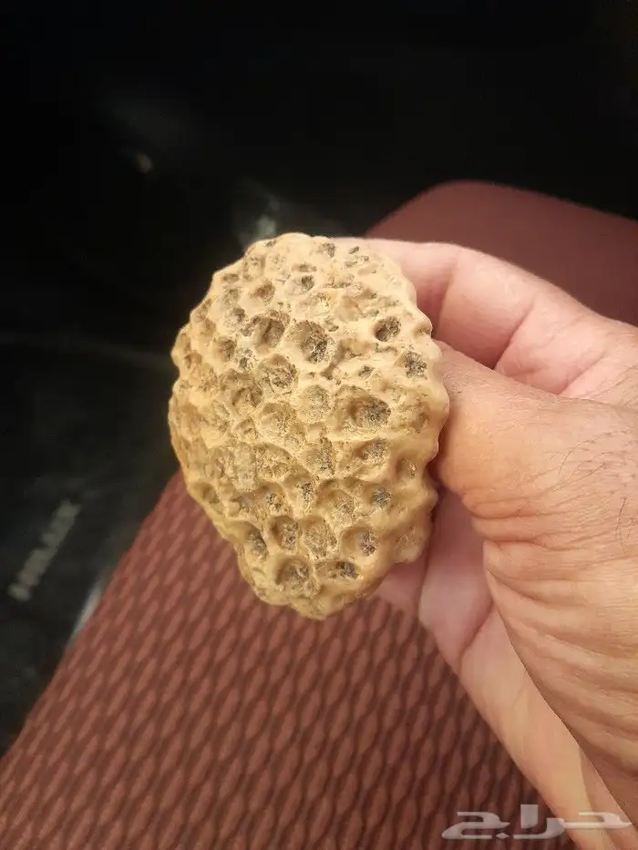 البيع حجارة تشبه خلية نحل 0