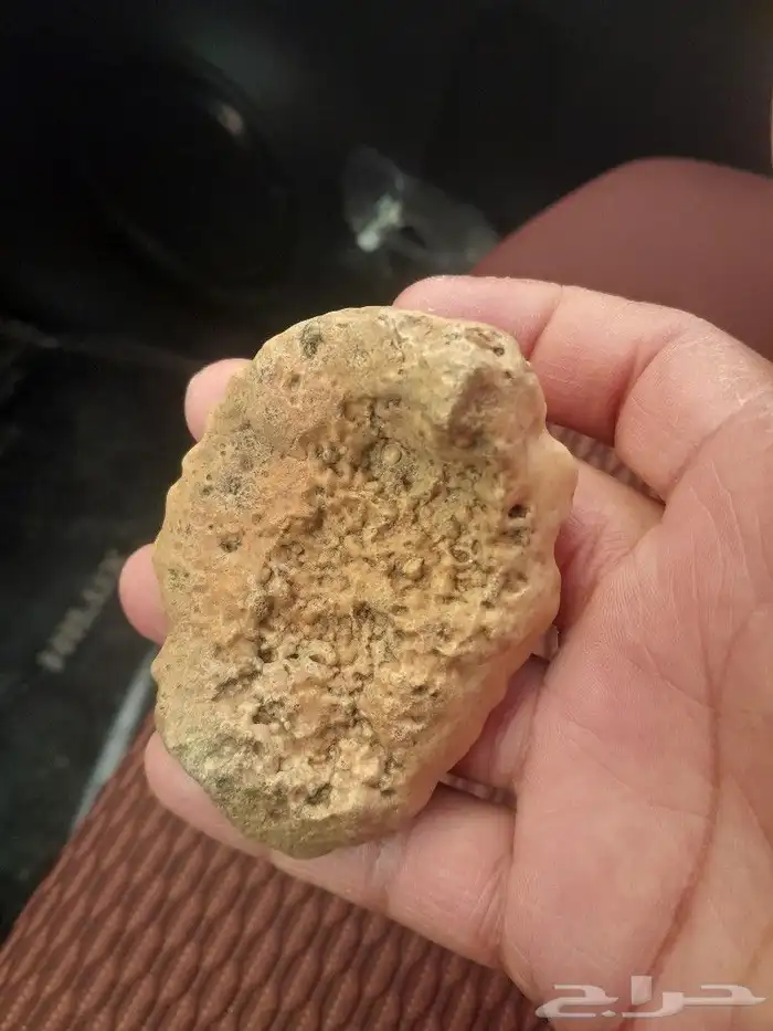 البيع حجارة تشبه خلية نحل 5