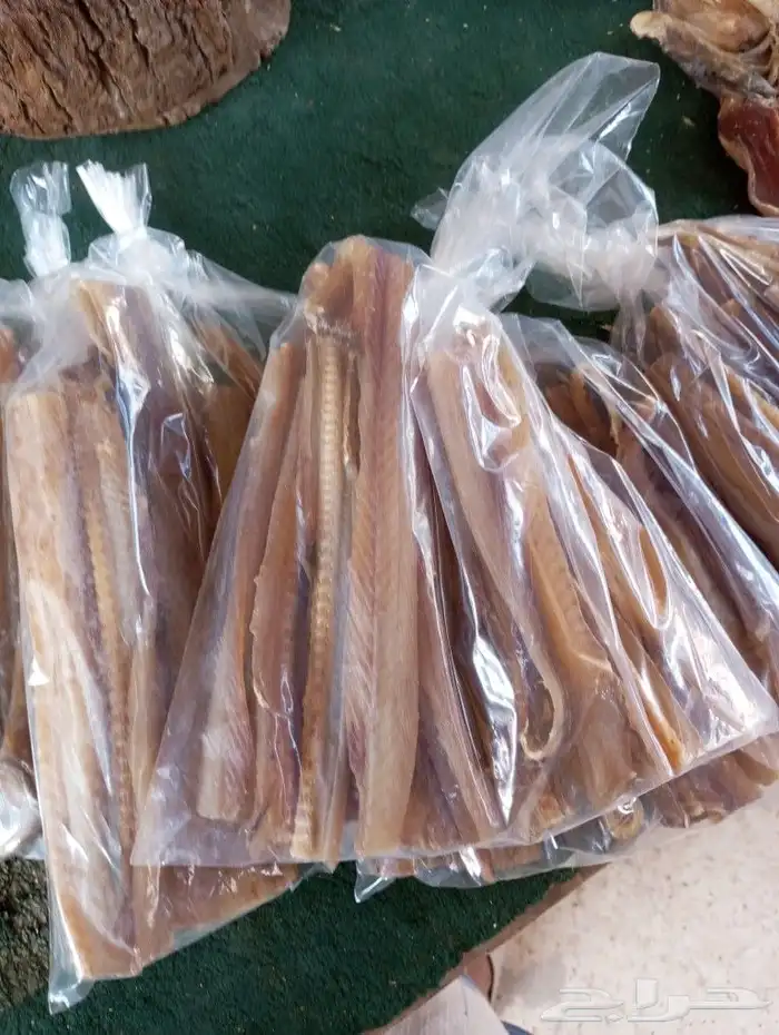 لخم يصم الرأس صم على شروطه 8