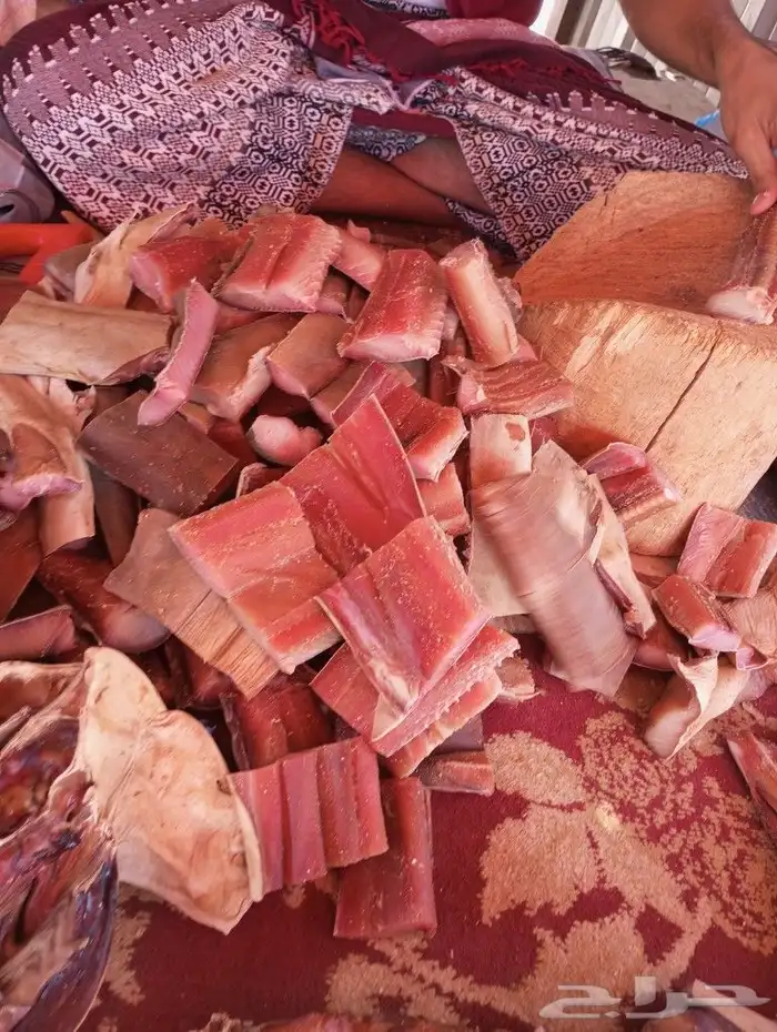 لخم يصم الرأس صم على شروطه 6