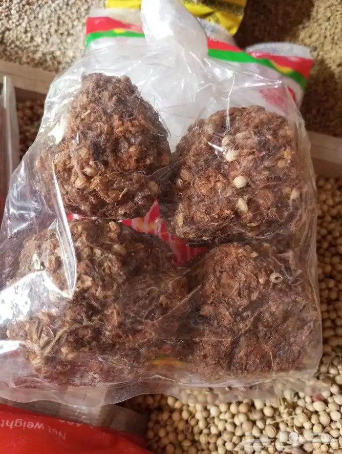 لخم يصم الرأس صم على شروطه 9