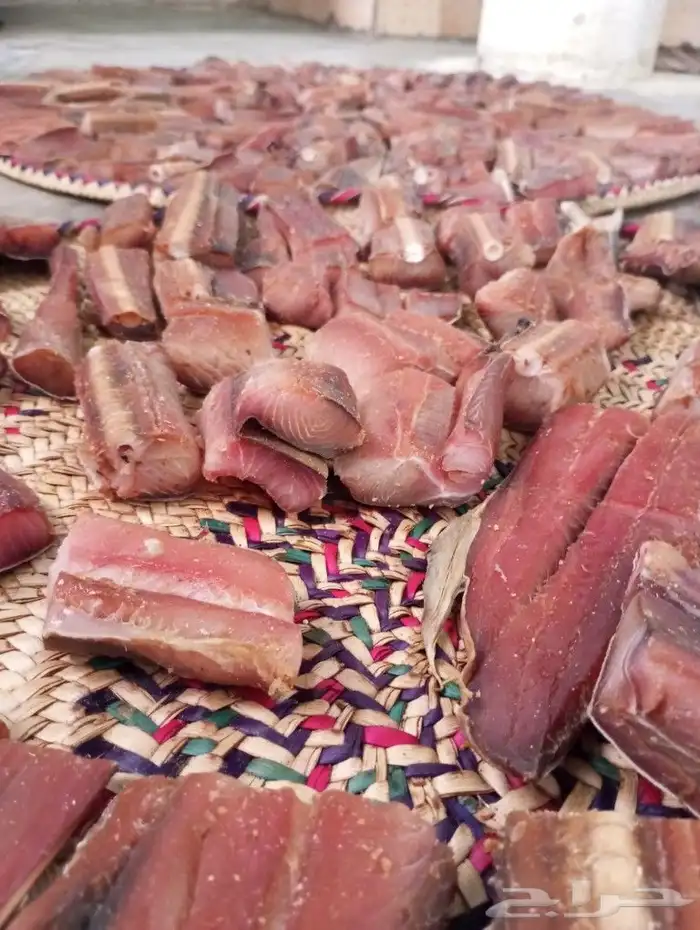 لخم يصم الرأس صم على شروطه 7