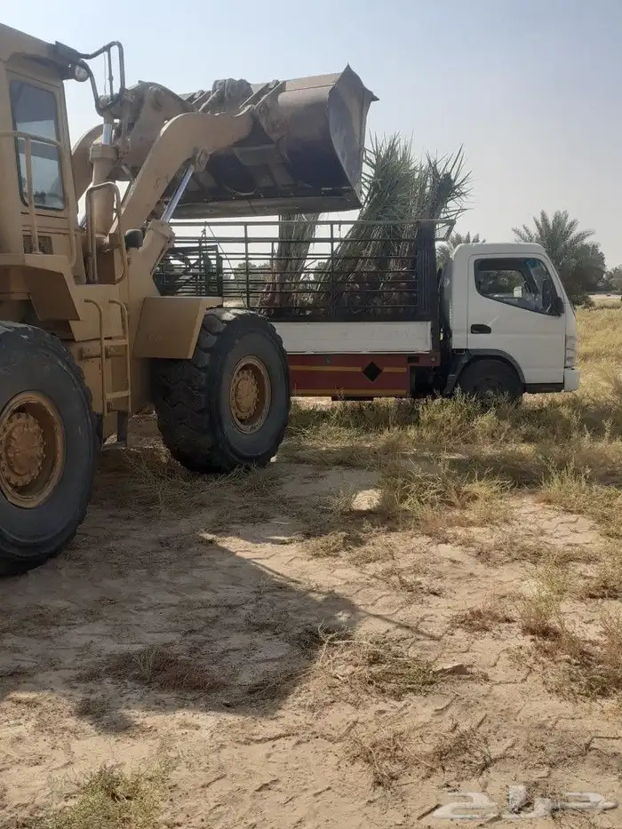 عملائنا الكيرام كما عودناكم نقدم لكم اجود انواع النخيل 9