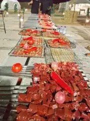 مشاوي خارجية معلم مشويات 5