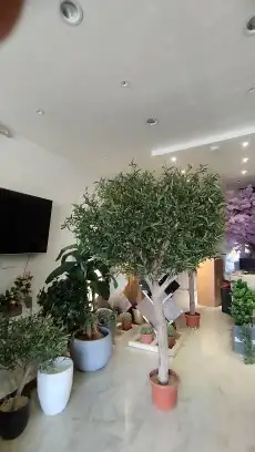 زيتون صناعي بسعار منافسه 1