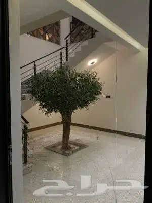 زيتون صناعي بسعار منافسه 2