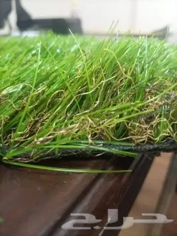 تنسيق الحدائق المنزلية 0