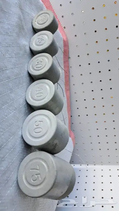 بسكوت خرساني 2