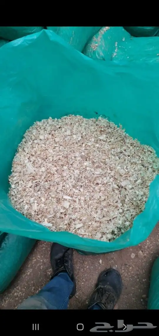 نشارة دواجن خميس مشيط 0