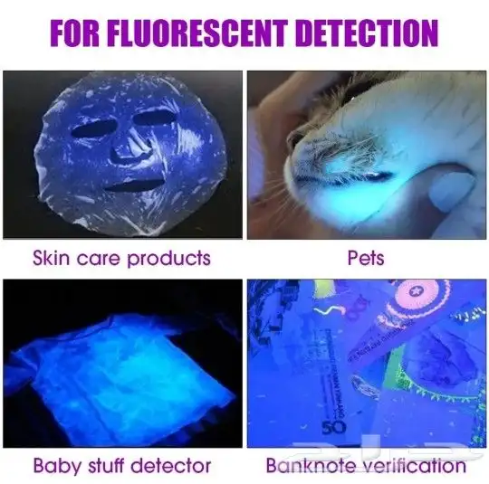 كشاف يكتشف العقارب و يكتشف بول الحيوانات 1