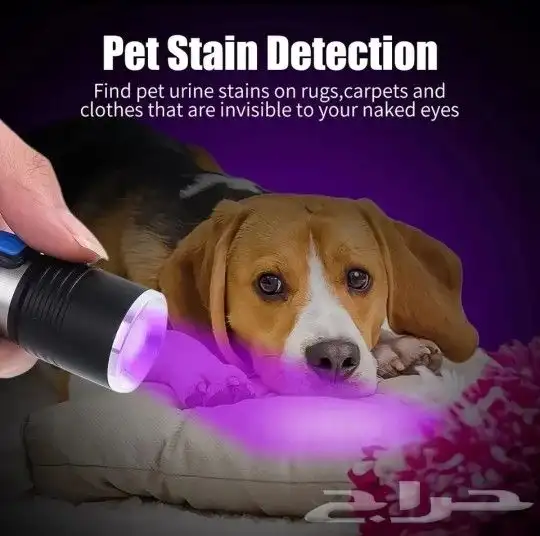 كشاف يكتشف العقارب و يكتشف بول الحيوانات 3