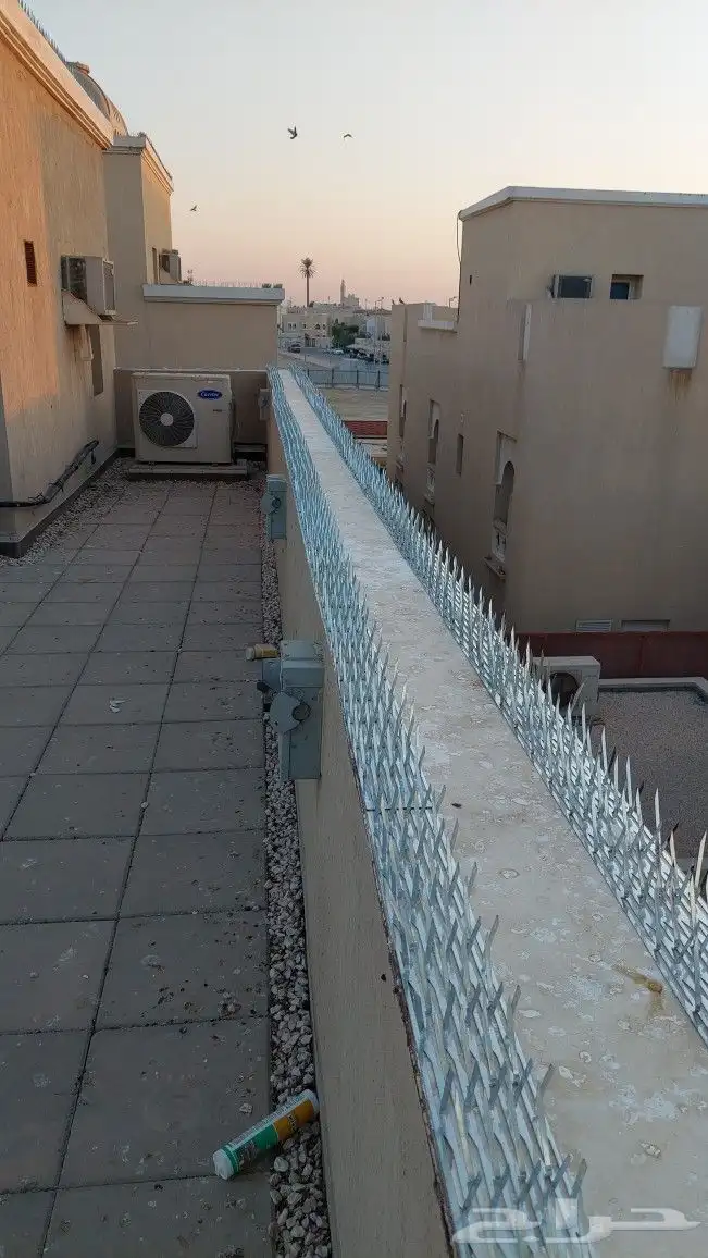 شركة تركيب طارد الحمام بالدمام والخبر والقطيف والظهران 7