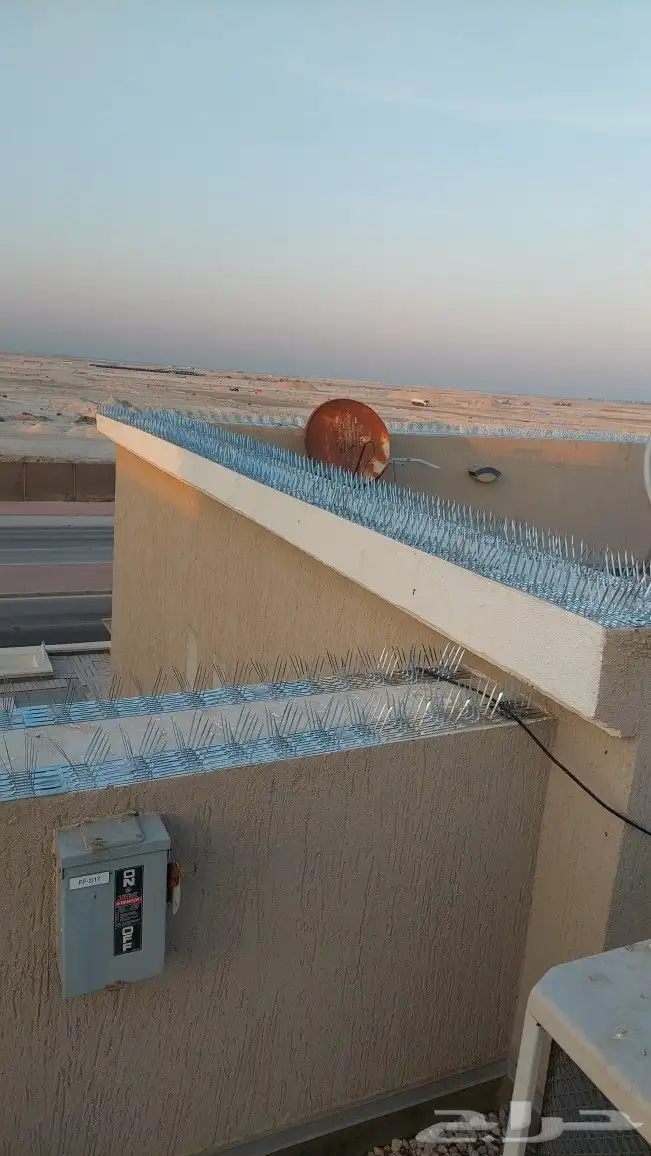 شركة تركيب طارد الحمام بالدمام والخبر والقطيف والظهران 8