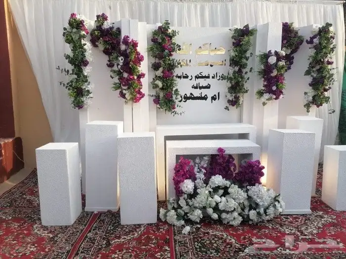 كوش واستقبالات جديد 24